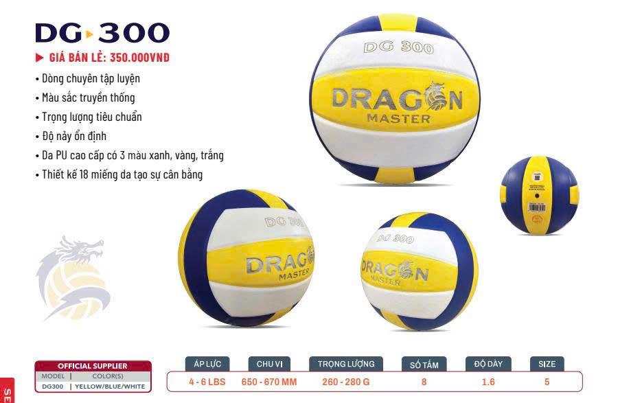 Bóng chuyền Động Lực DG300